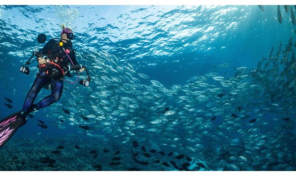 Big image 2022.10.23   false entrance 49