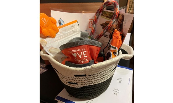 Big image auction 16