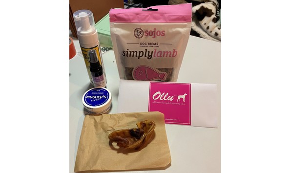 Big image auction 41