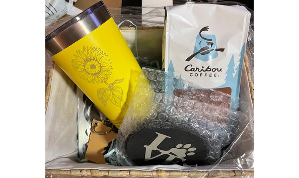 Big image auction 40