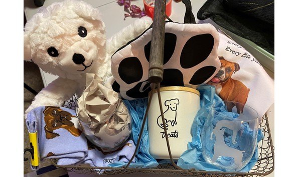 Big image auction 49