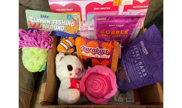 Big image auction 111