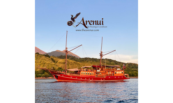 Big image arenui boat logo