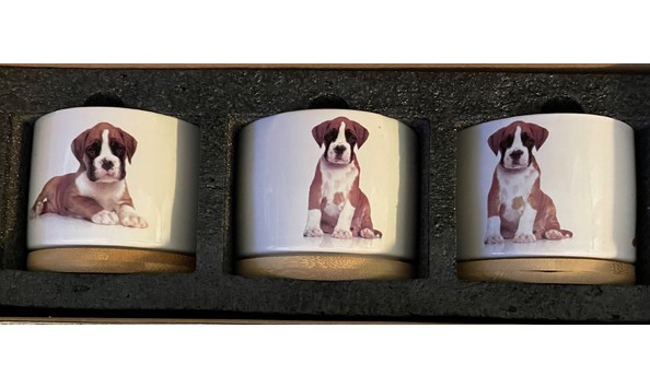 Big image auction 109