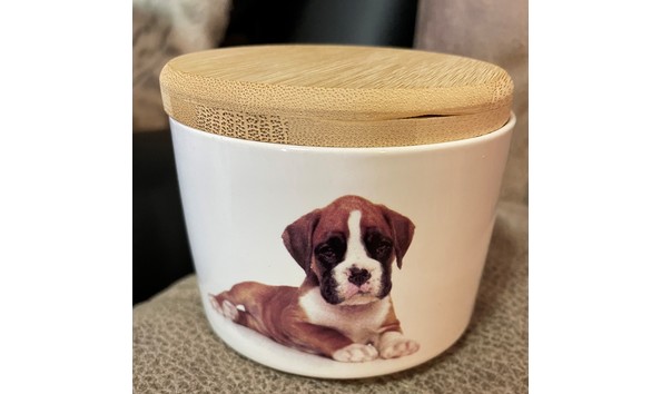 Big image auction 109b