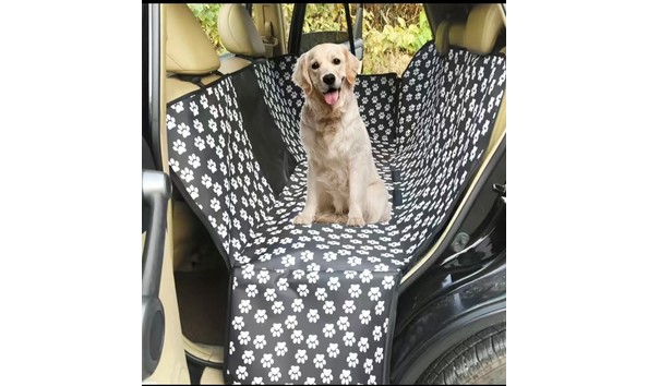 Big image auction 118