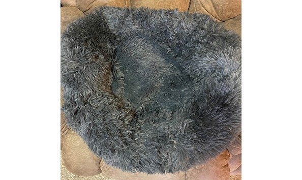 Big image auction 196 