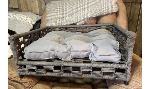 Big image auction 195