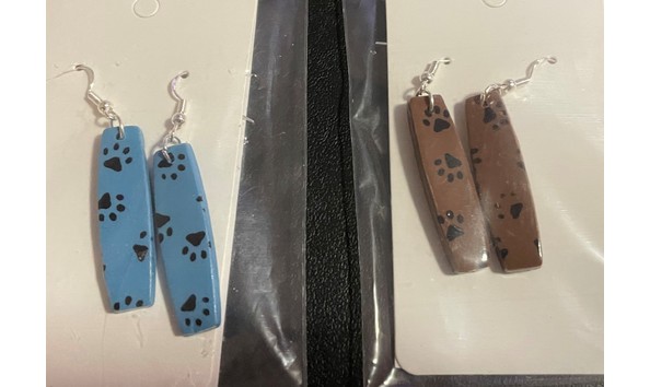 Big image auction earrings