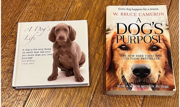 Big image auction 78