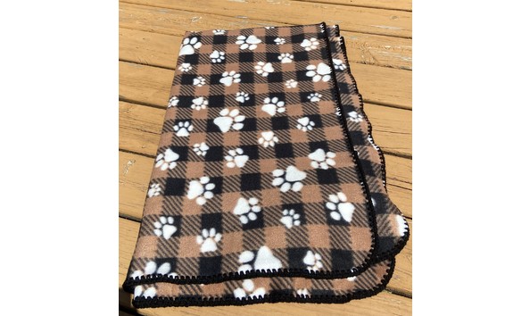 Big image thumbnail img 7767