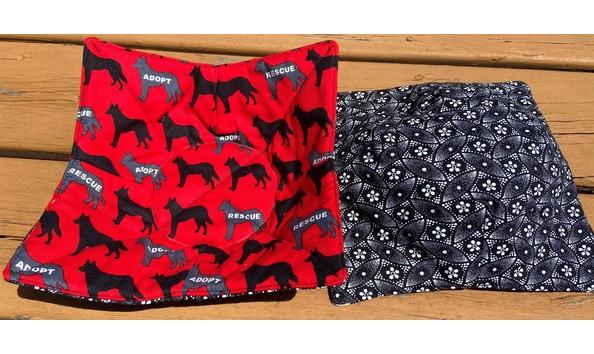 Big image rescue adopt