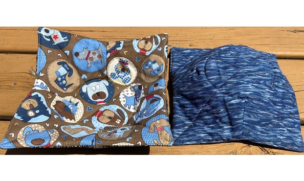 Big image bluebrowndogs1jpeg