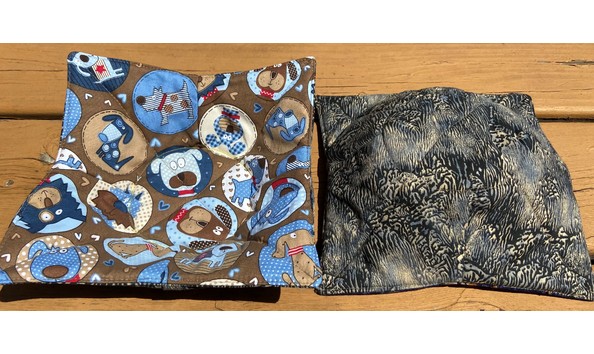 Big image bluebrowndogs2