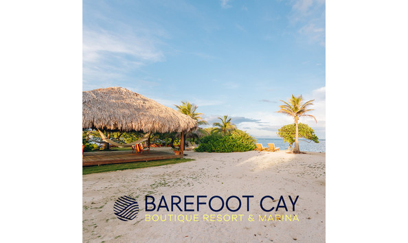 Big image barefoot cay logo