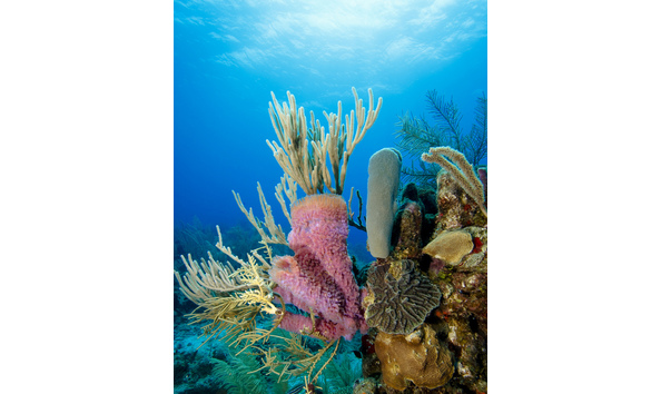 Big image 3210840271 f946125846 b