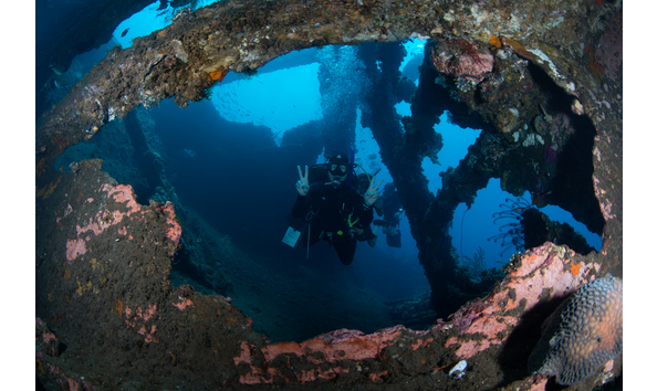 Big image dsc06098  1 