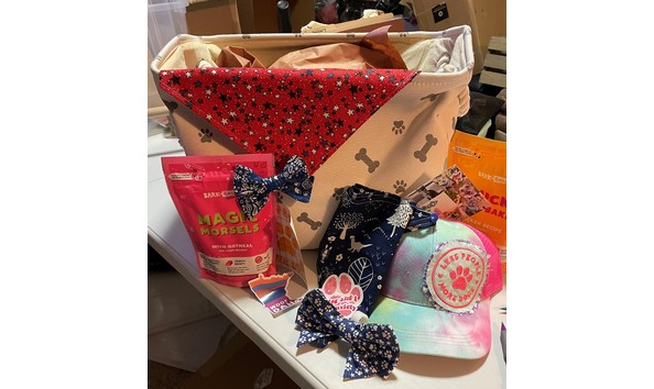 Big image auction 43