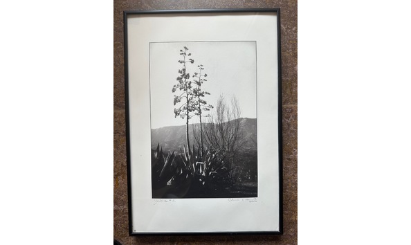 Big image img 7305  3 