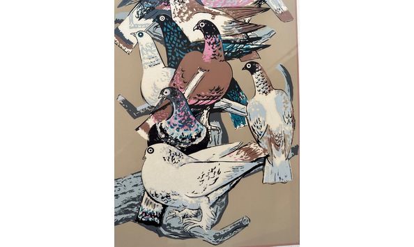 Big image fullsizerender  6 