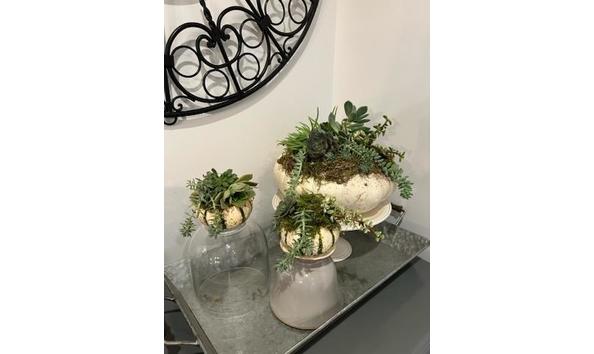 Big image pumpkin  6