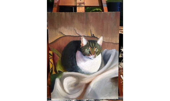 Big image cat hats 1 2.jpg