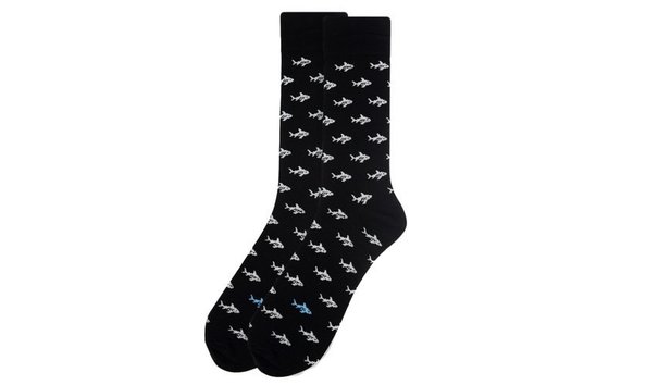 Big image black killer sharks