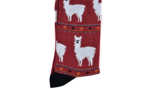Big image burgundy alpaca