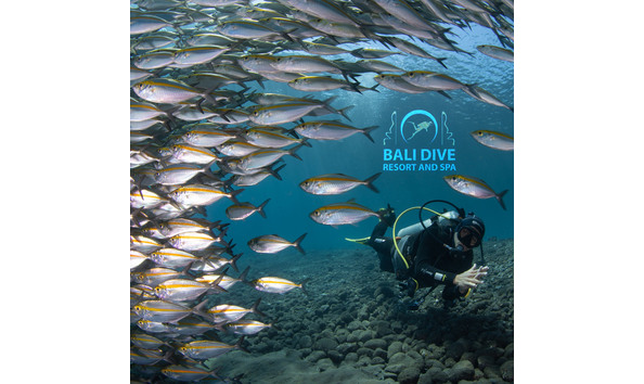 Big image bali dive resort and spa