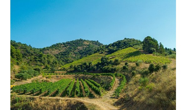 Big image mini magick20230605 113814 1vctxwj