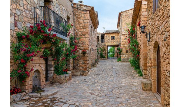 Big image mini magick20230605 113814 18oj8x4