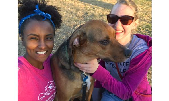 Big image 27536634 10209569749875211 129023788 o