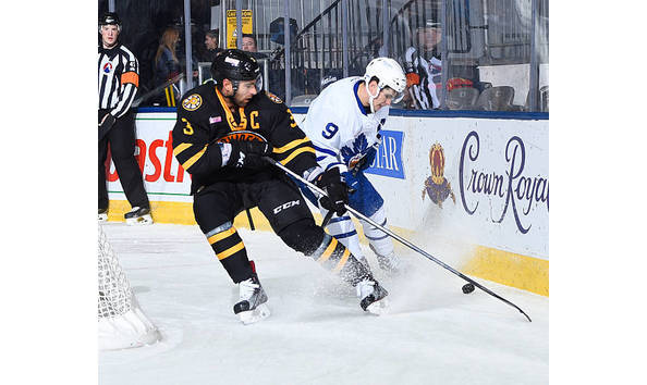 Big image bruins pic 2