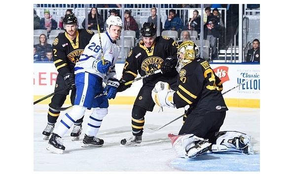 Big image prov bruins pic 3