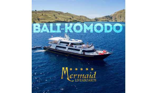 Big image mermaid liveaboard bali komodo sq