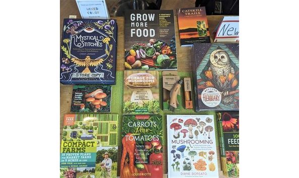 Big image 336079475 182319644546136 7769312229563364049 n