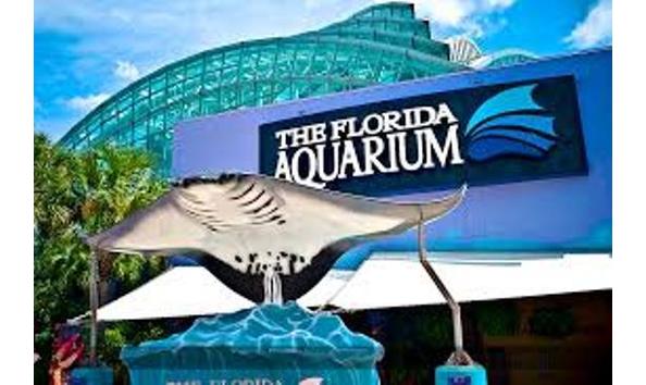 Big image fl aquarium