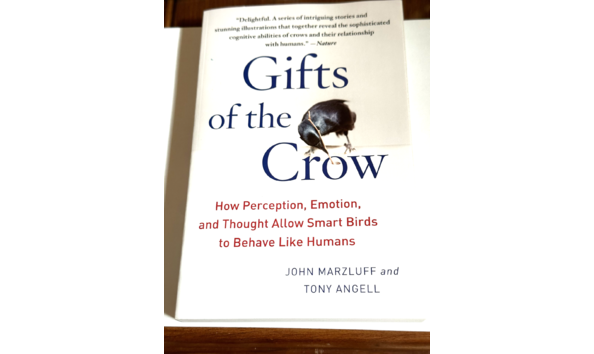 Big image gifts book pic