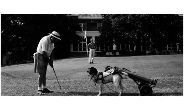 Organization Main Image