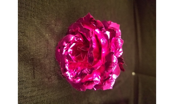 Big image mini magick20180130 35205 180xffp