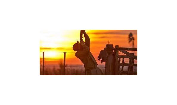 Big image mini magick20180130 35205 1tapcww