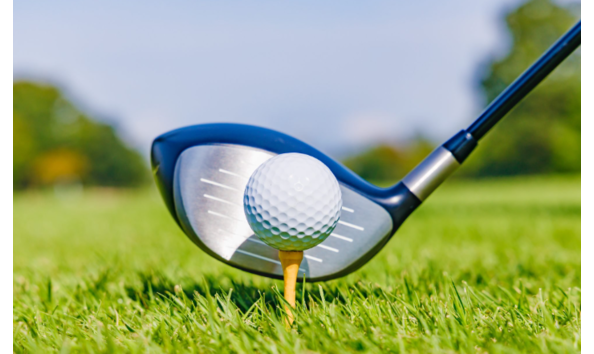 Organization Main Image