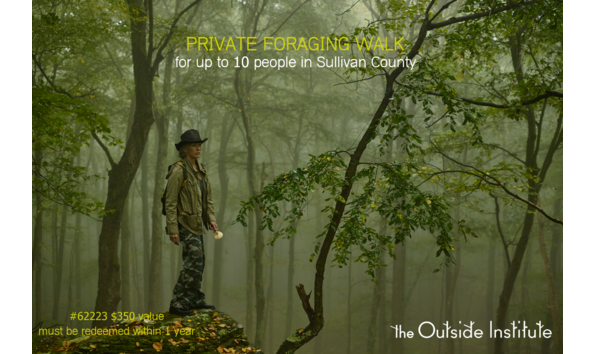 Big image wjff auction  1 