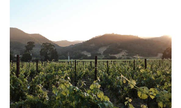 Big image farmhouse setting inn dscf2536