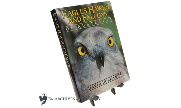 Big image 7.1 bottom