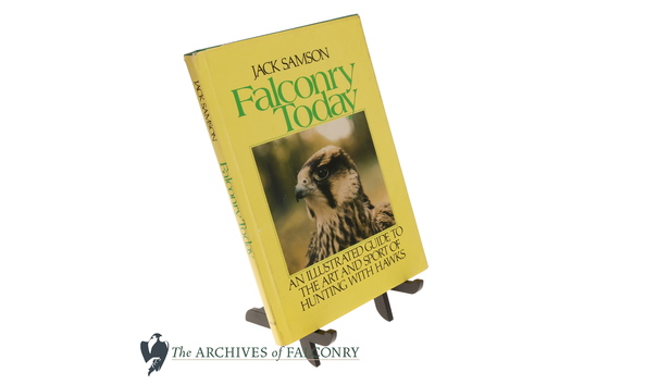 Big image 9.1 bottom