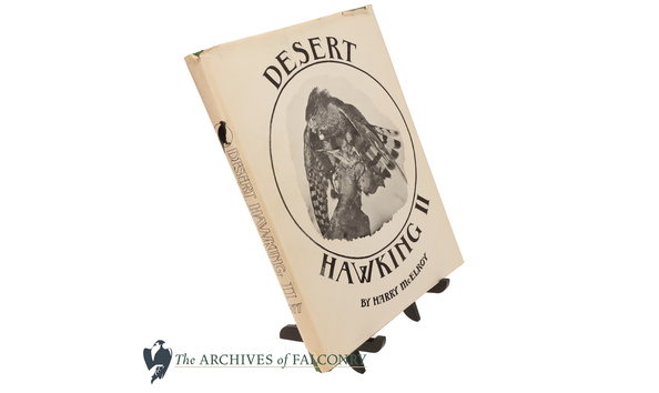 Big image 10.1 bottom