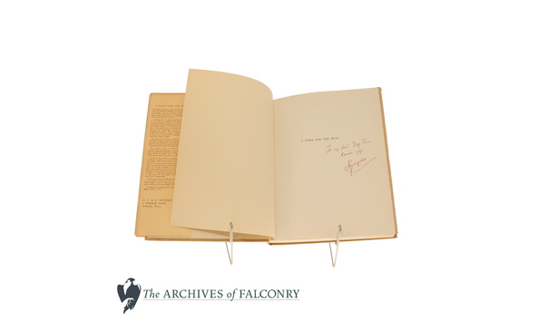 Big image 39.1 bottom