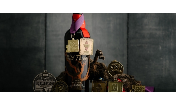 Big image carol shelton