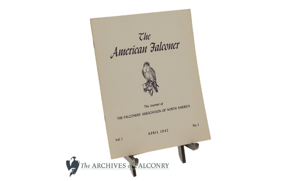 Big image 56.1 bottom